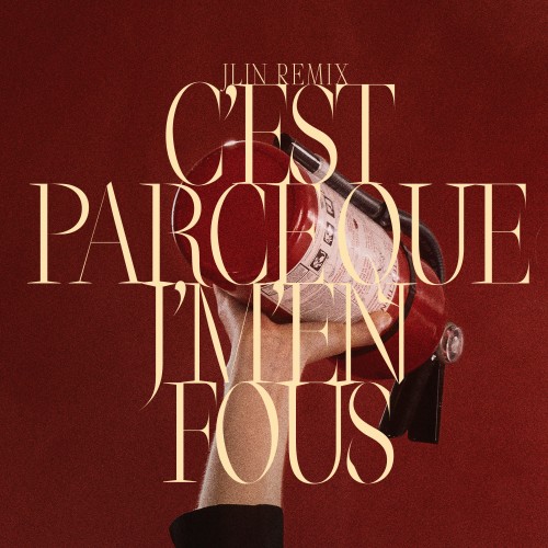 C’est parce que j’m’en fous (JlIn Remix) - 